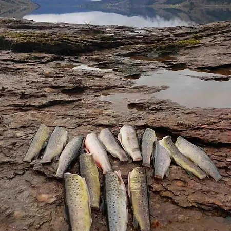 Perla I Nordfjord * Emhjella
